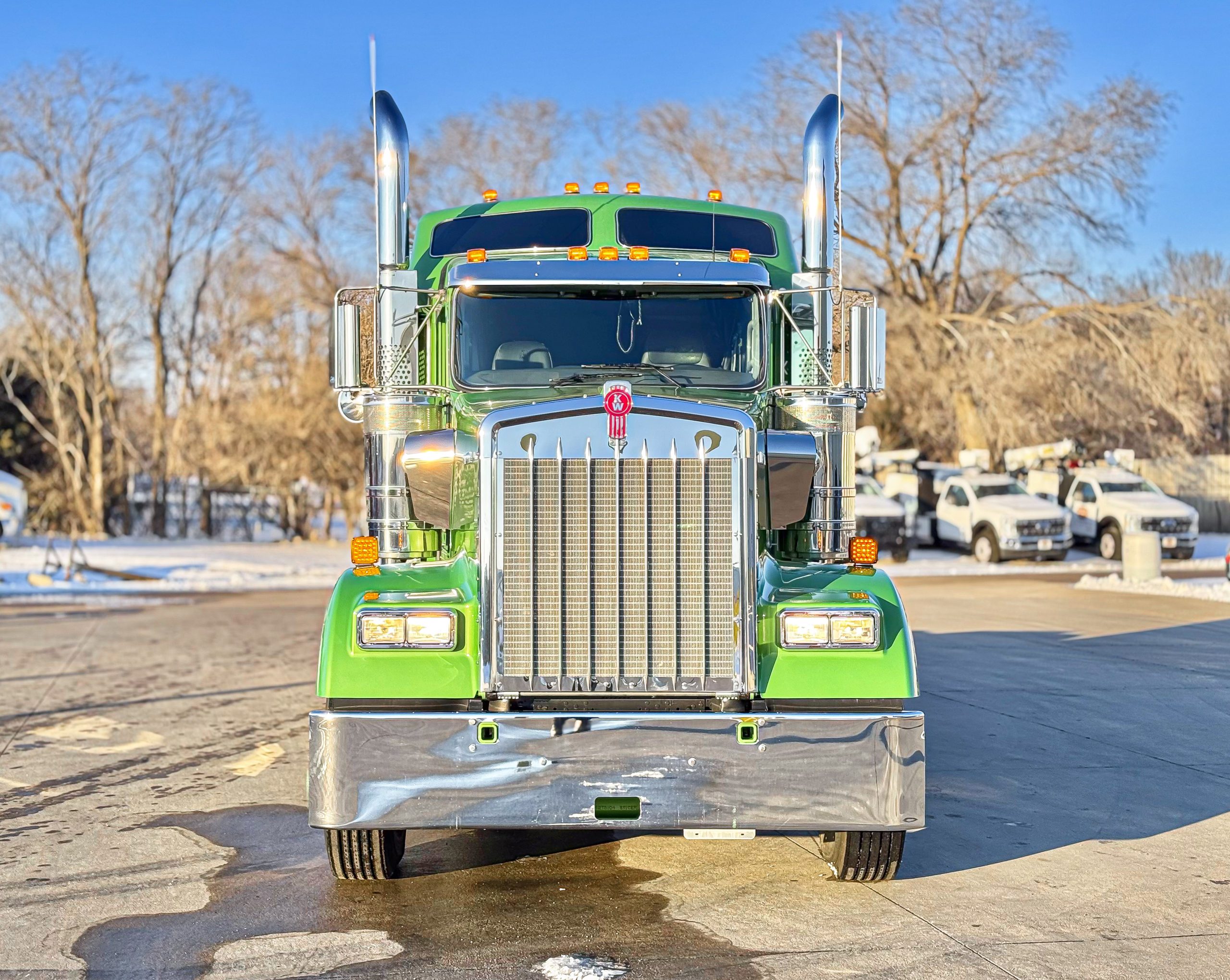 2025 Kenworth W900L - image 3 of 6